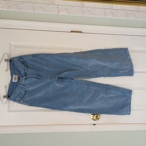 BDG Urban Outfitters Wide Leg Corduroy Pants